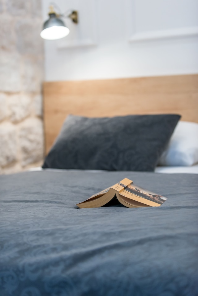 スカリーニ パレス