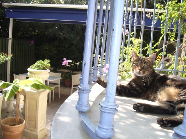 ヴィラ・サン・ヒューバート