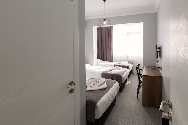 バスケント コヌックエヴィ