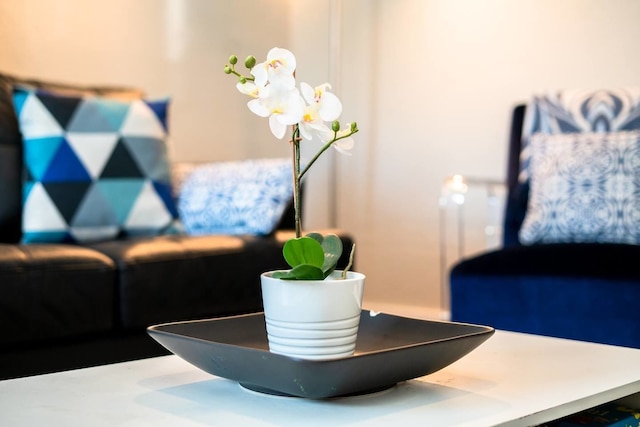 ザ トラベラーズ コーナー ロケーテッド オン ラリマー ストリート