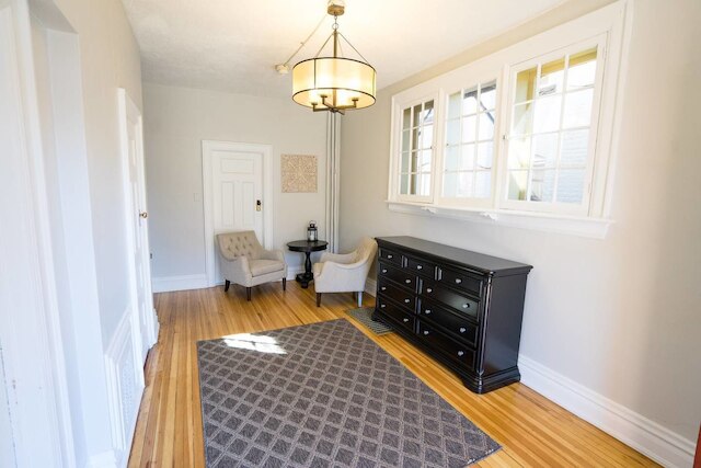 シティ パークの中心部にある広々した安らぎスペース