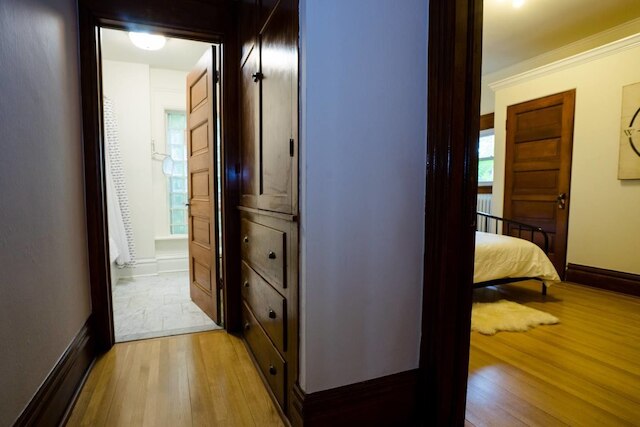 ザ トラベラーズ ヌック、シティ パークまで徒歩圏内