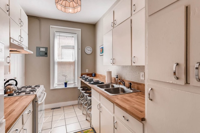 ザ ブルー リノ - モダン エクスペリエンス