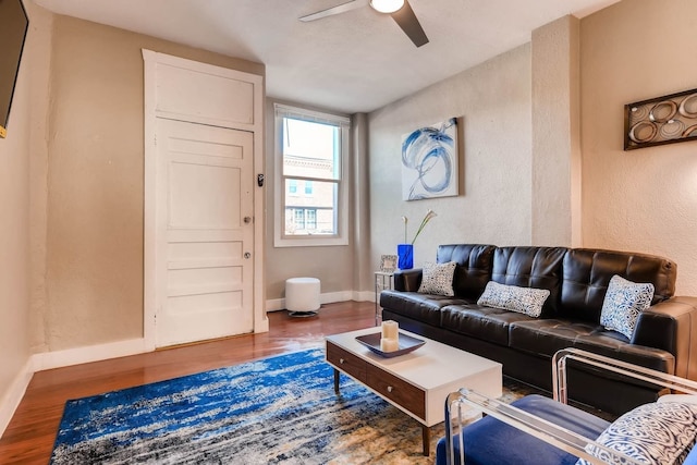 ザ ブルー リノ - モダン エクスペリエンス