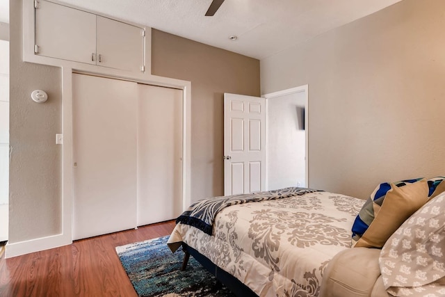 ザ ブルー リノ - モダン エクスペリエンス