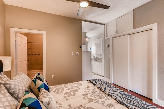 ザ ブルー リノ - モダン エクスペリエンス