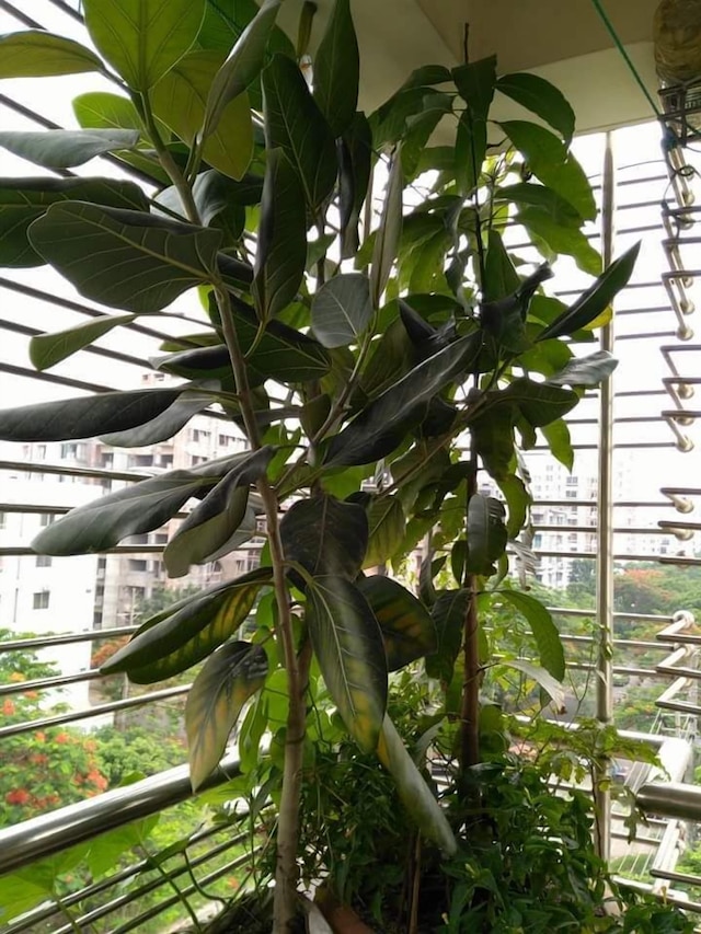 サブリナズホーム - ホステル