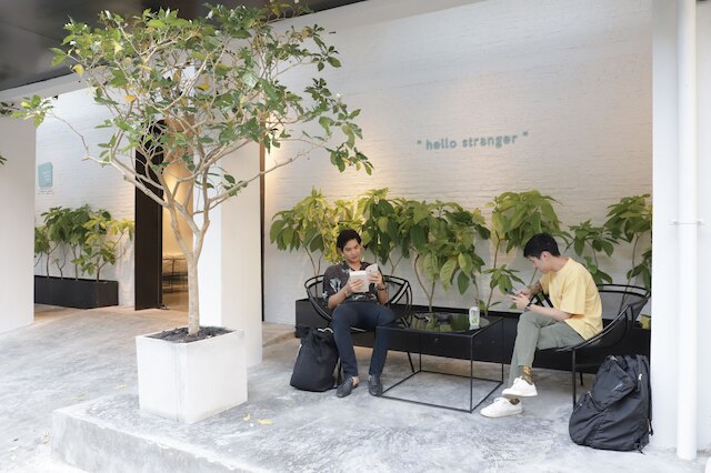 チョコレート ボックス ミント