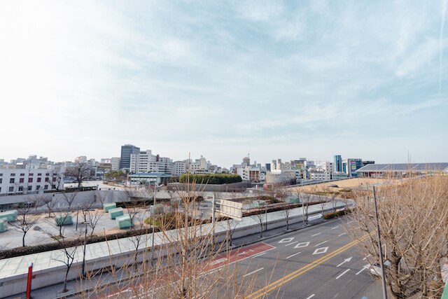 パンダ ゲストハウス - ホステル