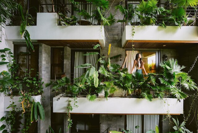 LIVIE ダ ナン スタイル