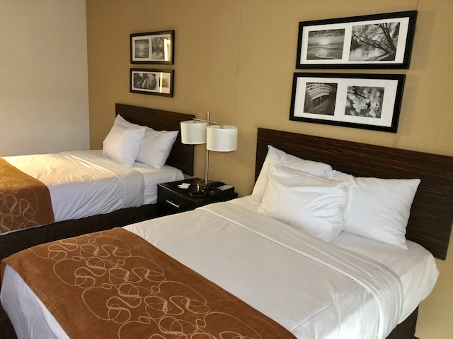 ザ ヴュー イン ブルックリン