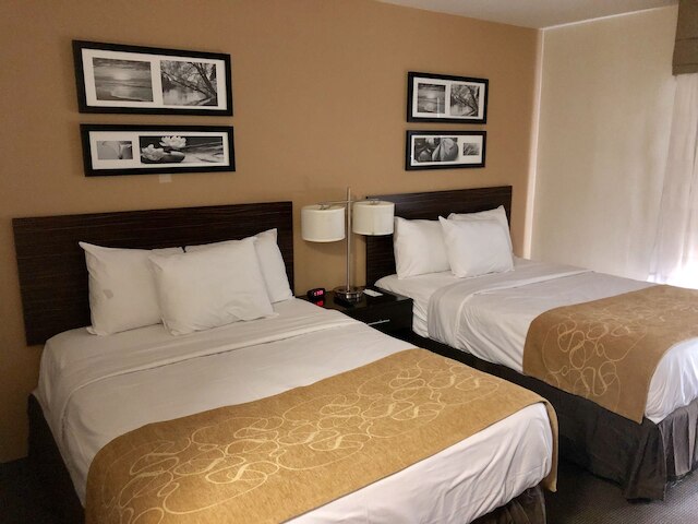 ザ ヴュー イン ブルックリン