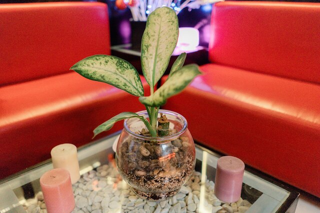 アイキコ ハウス