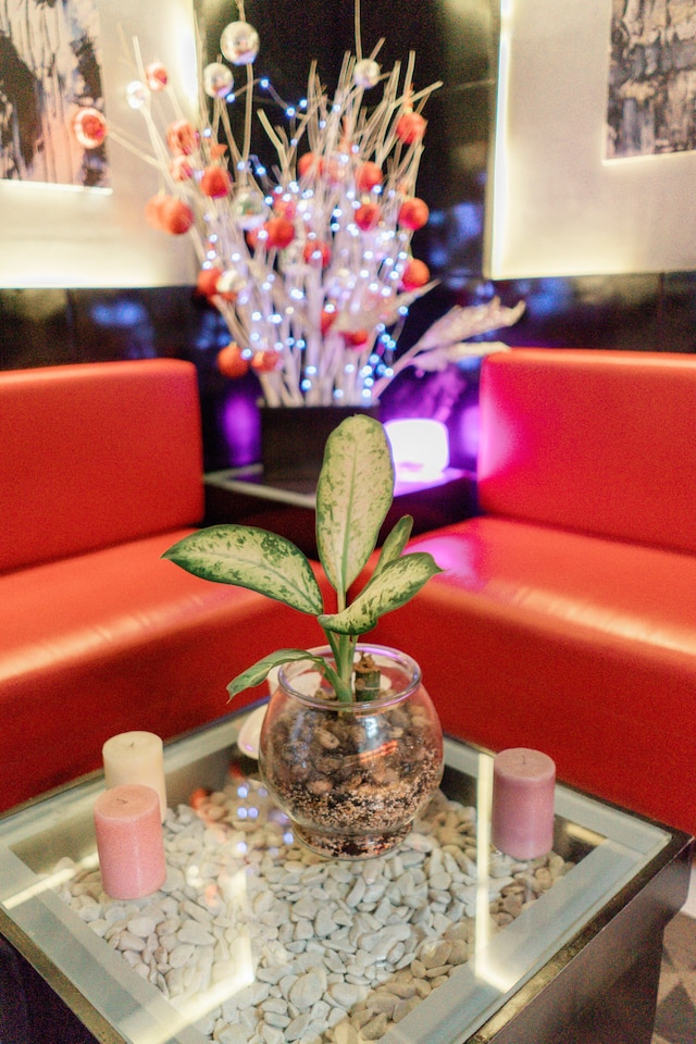 アイキコ ハウス