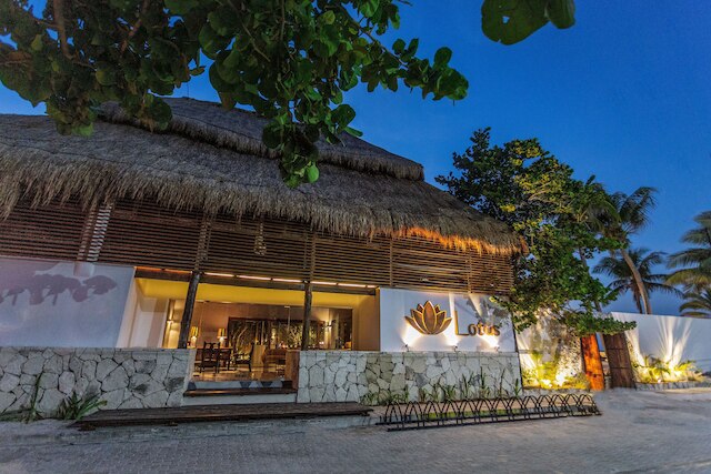 ロータス ビーチ ホテル - 大人限定