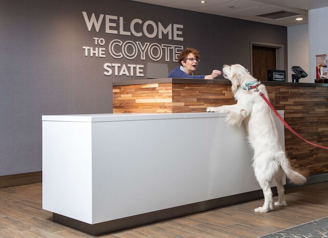 ハンプトン イン & スイーツ ラピッド シティ ラシュモア