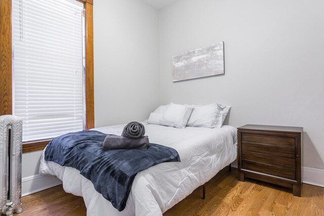 ウィンディ シティ ワンダラー - デポール、トレイン、リグリー フィールド