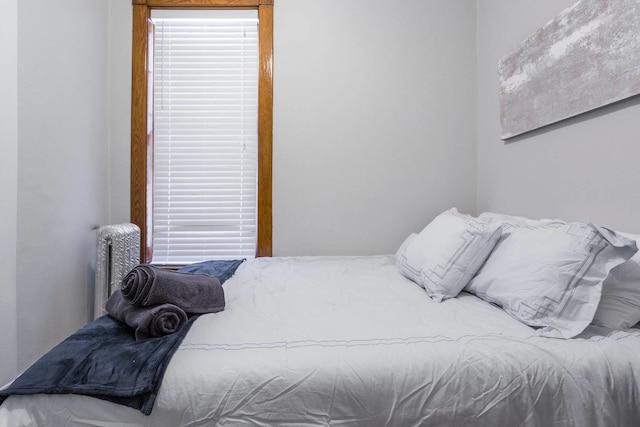 ウィンディ シティ ワンダラー - デポール、トレイン、リグリー フィールド