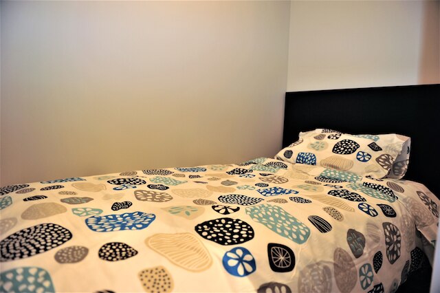 ブランニュー 1 ベッドルーム 1 デン コンド イン バンクーバー