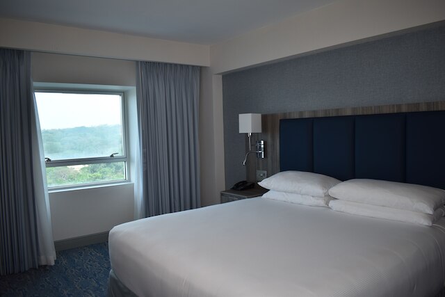 ダブルツリー バイ ヒルトン マナグア