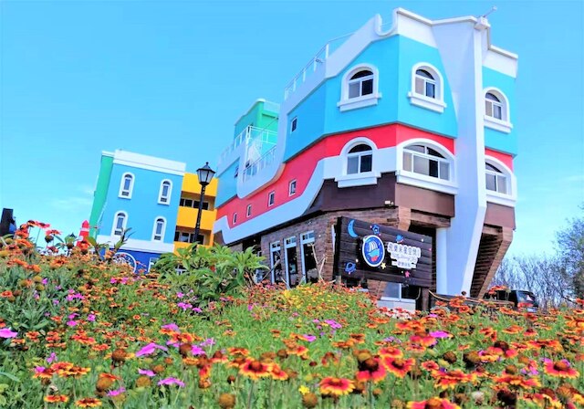 スターリースカイ ファミリー