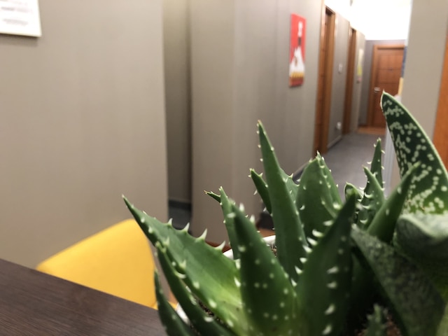 ピアッツァ カリタ