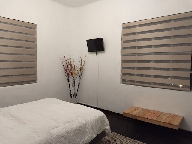 スイート レジーナ 94