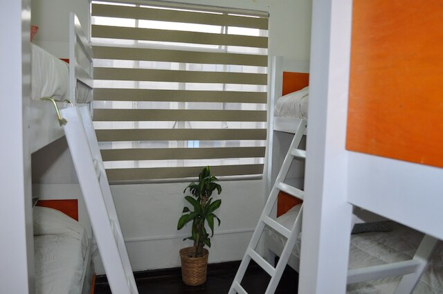 スイート レジーナ 94