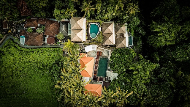 ザ・パリ・スダ