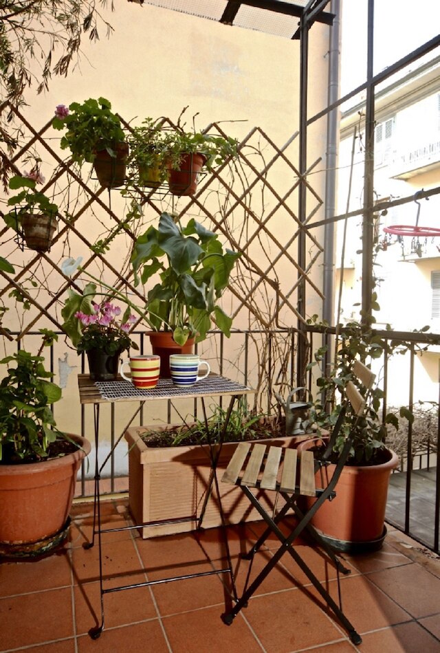 ファエンツァ ノヴェッラ