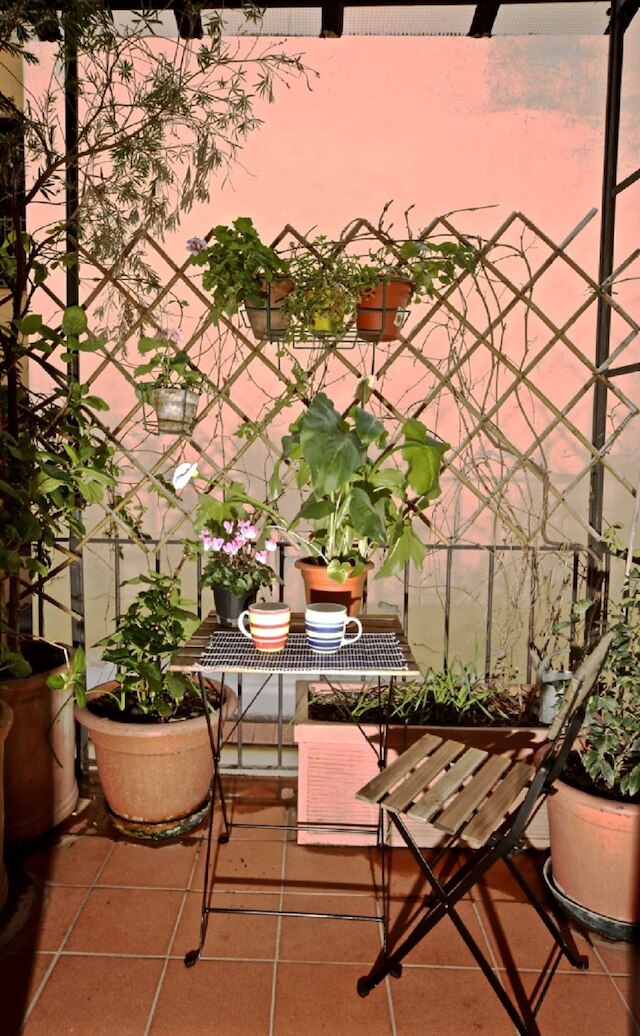 ファエンツァ ノヴェッラ