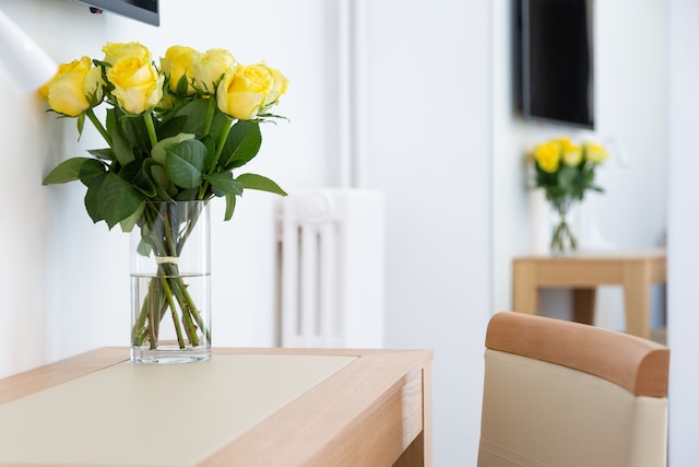 オテル ラ トゥール ドュ ネル ラ ロシェル ヴュー ポール