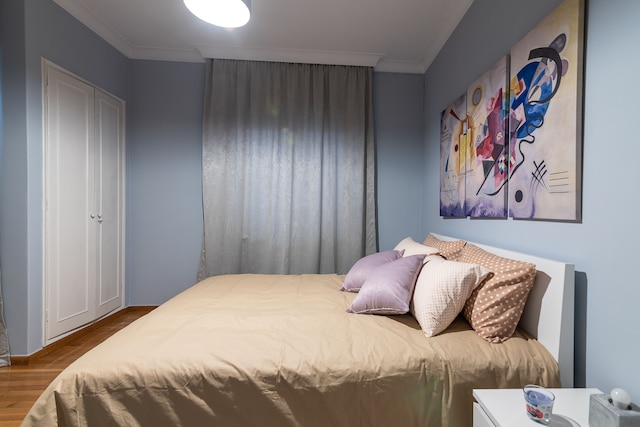 エリート ジェム イン ザ ハート オブ コロナキ