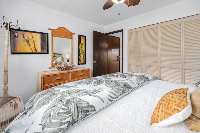 コナ アイル E23