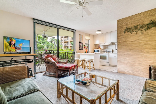 コナ マカイ 2-102