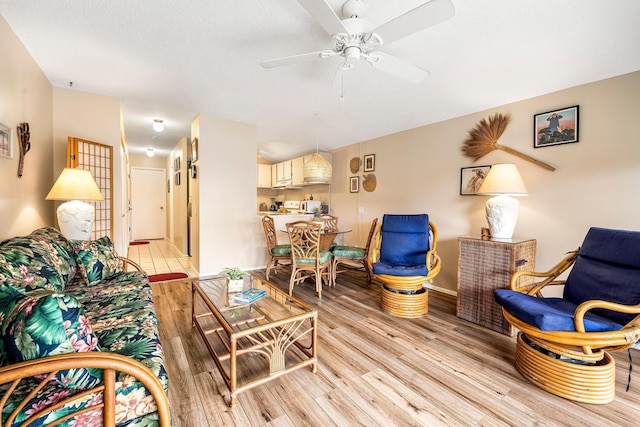 コナ アイル B31