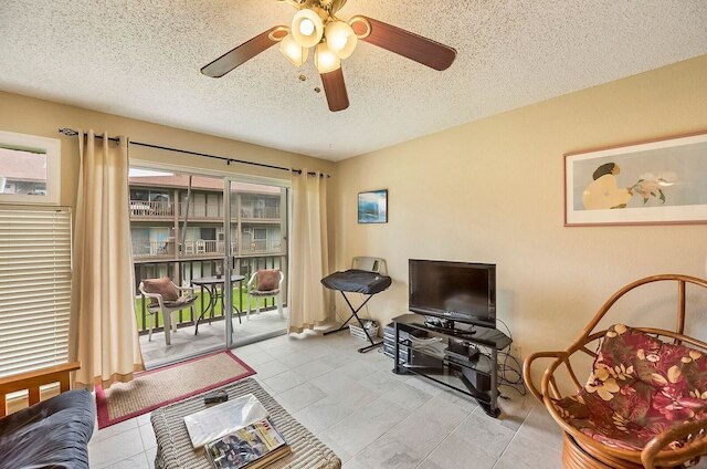 コナ アイル C24