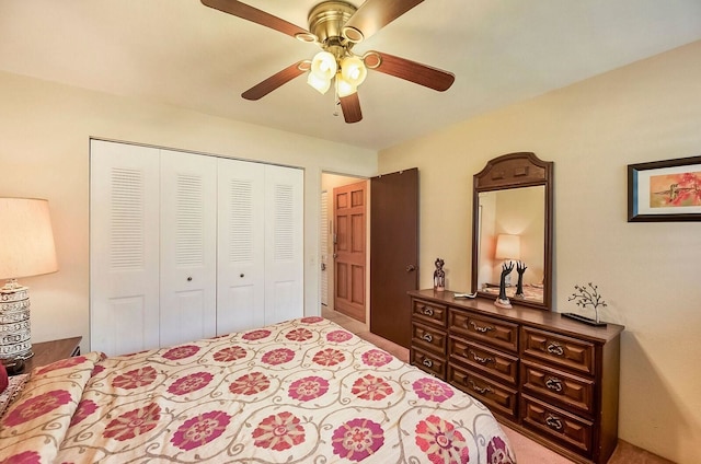 コナ アイル C24