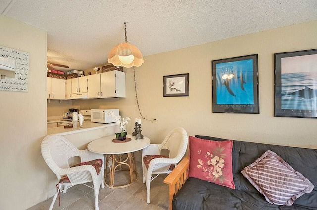 コナ アイル C24