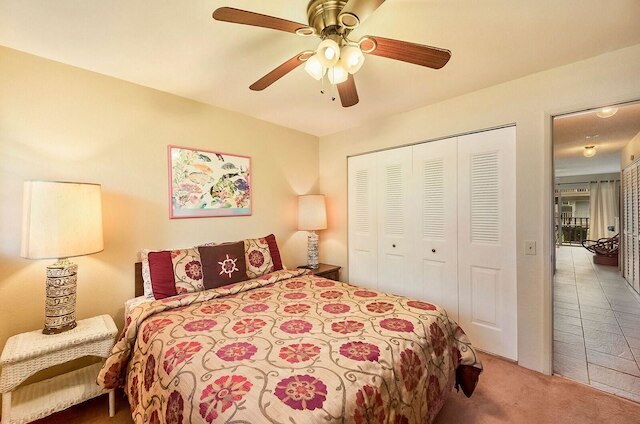 コナ アイル C24