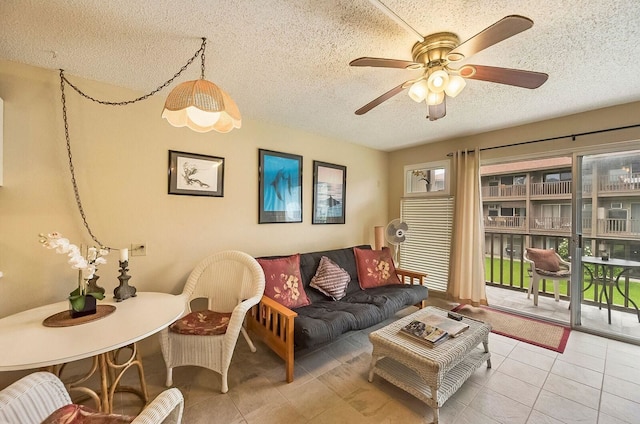 コナ アイル C24