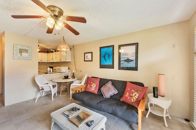 コナ アイル C24