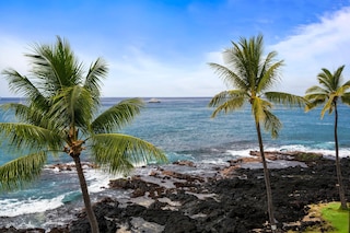 コナ リーフ D32