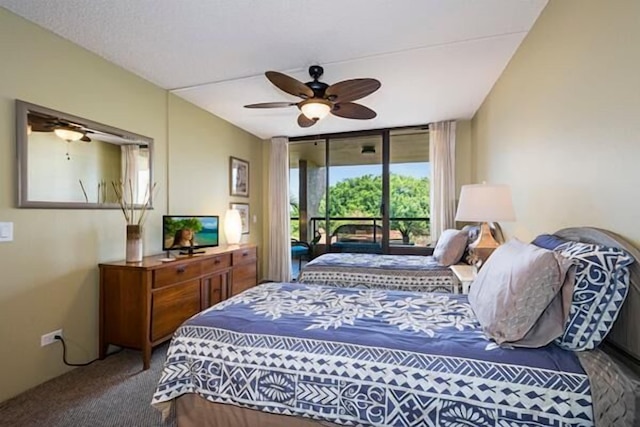 コナ パシフィック B409