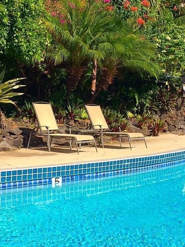 カラニ カイ 105