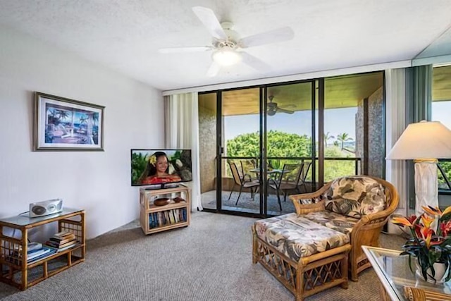 コナ パシフィック B511