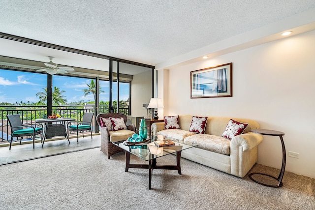 コナ アリー 608