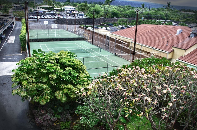 コナ アリー 608