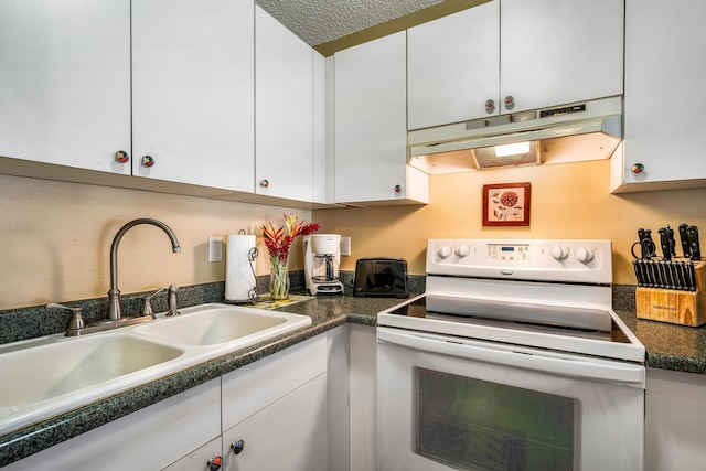 コナ アイル C28