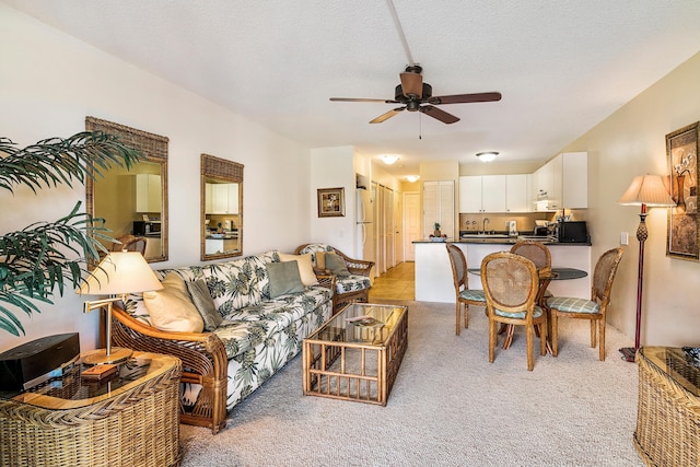 コナ アイル C28